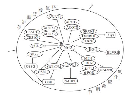 图片47.jpg